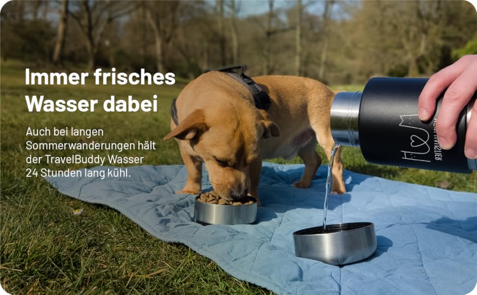 TravelBuddy 3-в-1: Поїлка для собак з мискою - витоків не буде | Для подорожей та прогулянок