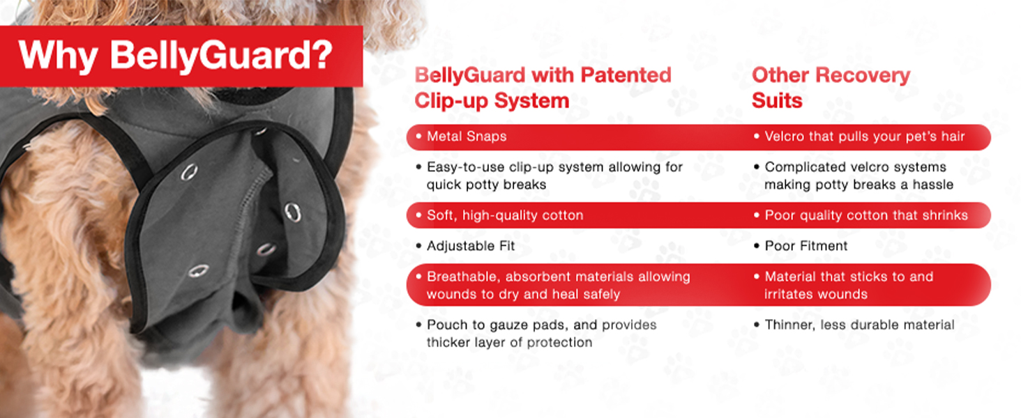 Захисний боді для собак після операції (кастрація/стерилізація), альтернатива нашийнику, сірий, 2XL