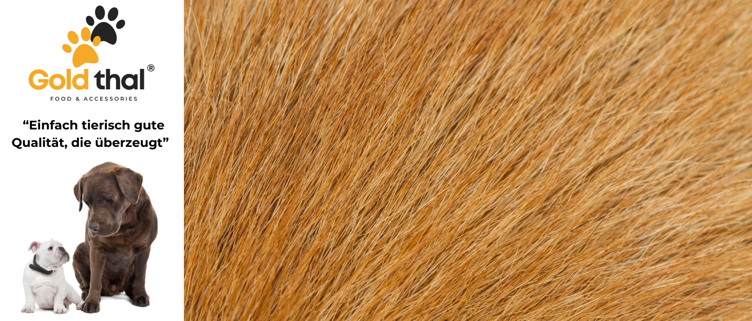 Goldthal® Оригінальний рукавичка для миття лап собак з мікрофібри. Без брудних лап для великих та маленьких собак