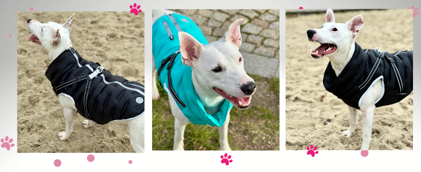 Водонепроникна тепла куртка для собак 2-в-1 з інтегрованою шлейкою - Зимова куртка для собак з відбиваючими елементами, вітронепроникна та легка, ідеальна для осені та зими, червона, розмір L