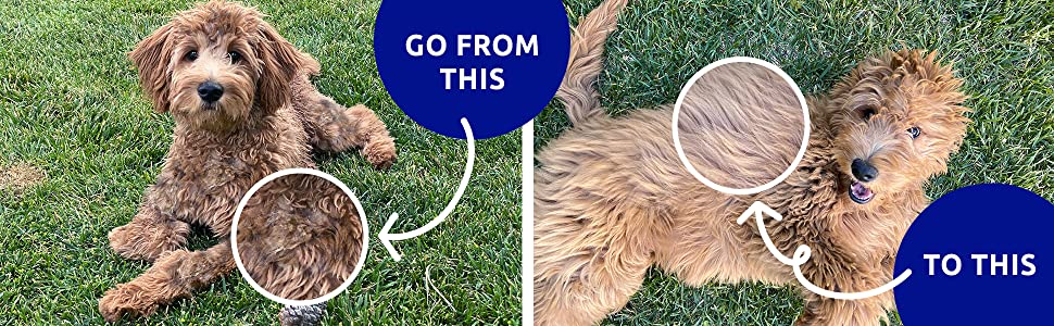 Щітка для котів та собак Pat Your Pet - для довгої шерсті та підшерстка, гребінець для собак та котів, двосторонній гребінець для догляду за шерстю та видалення ковтунів (блакитний)