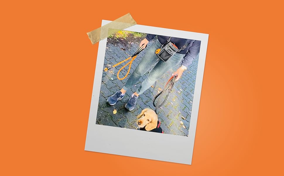 Сумка для ласощів Floxik Premium для собак | Практичний універсальний мішечок для ласощів | Сумка для дресирування собак та цуценят