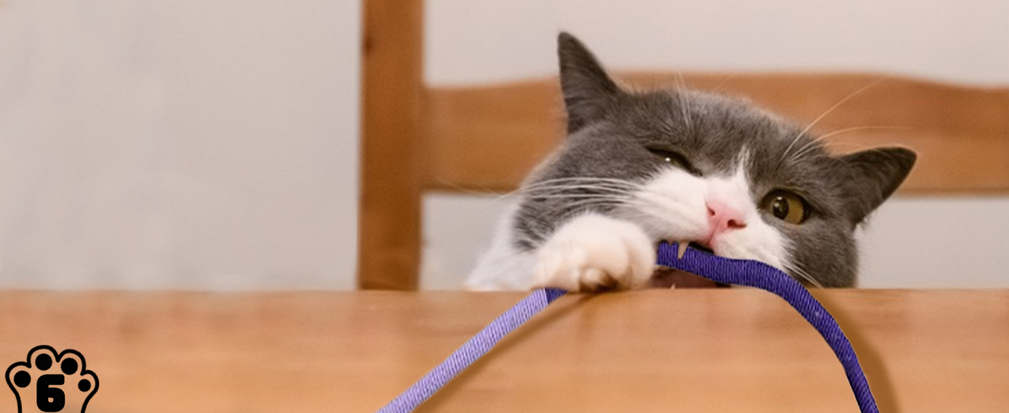 Інтерактивна іграшка для котів CUUOOT 7-в-1: джиґлер, іграшка-пір'їнка, катенок, мотузка для кусання, набір з котячою м'ятою.