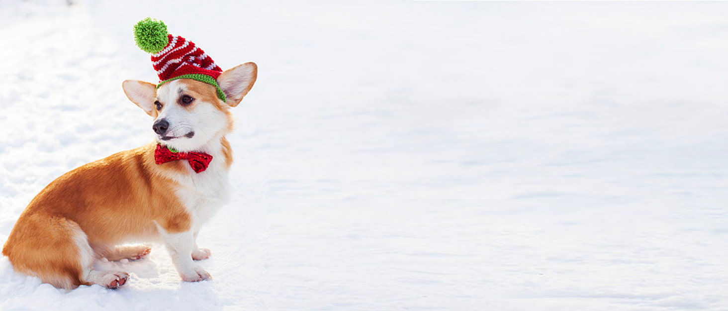 Водонепроникна куртка для собак Heywean з флісовою підкладкою, чорна, L. Тепла куртка для собак для холодної погоди, активного відпочинку та дому.