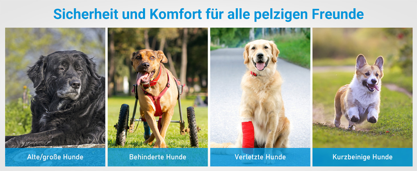 Рампа для собак FASRIOU 180x50 см, розкладна, для великих собак до 70 кг, з антиковзким покриттям, для авто, SUV, вантажівки