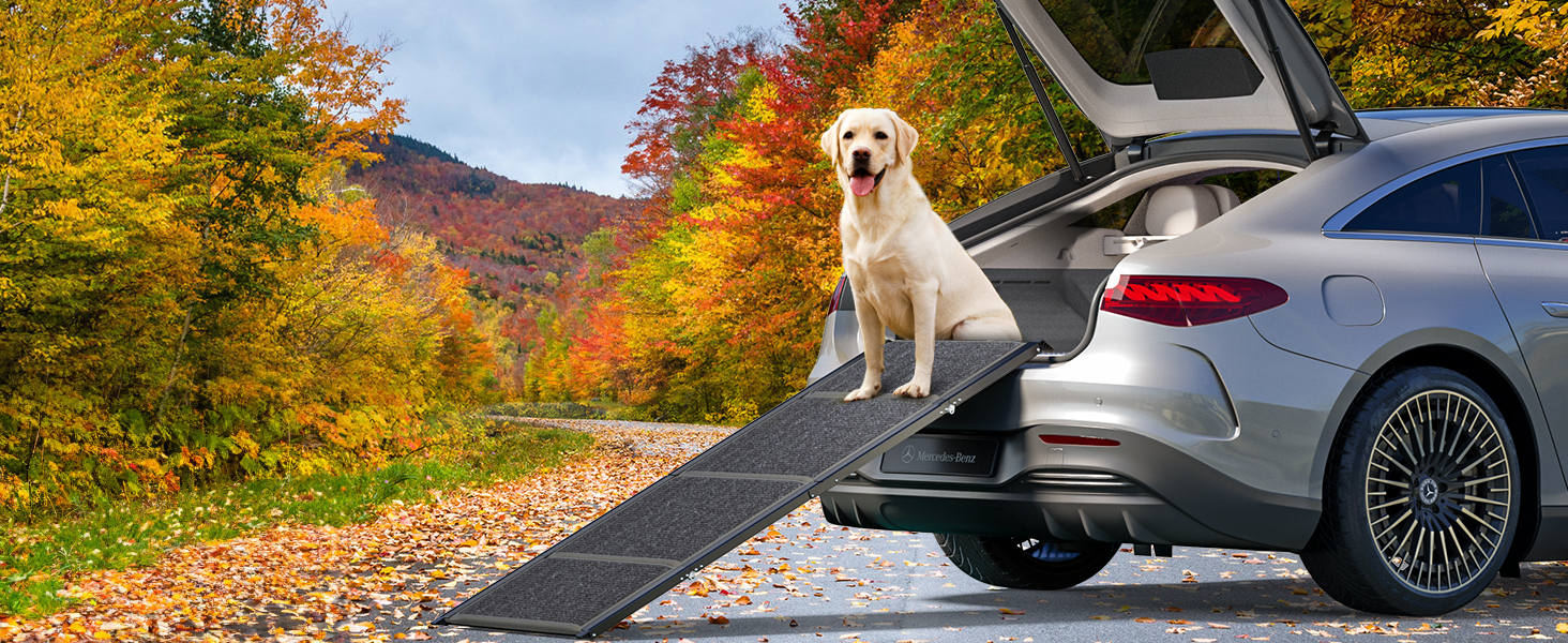 Східці для собак Hunderampe - складані, портативні, з антиковзким покриттям, для автомобілів, SUV та вантажівок (170x44 см)
