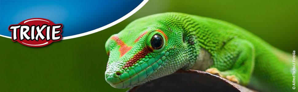 Килимок з підігрівом для тераріумних тварин TRIXIE, 20 x 30 см, 16 Вт, чорний