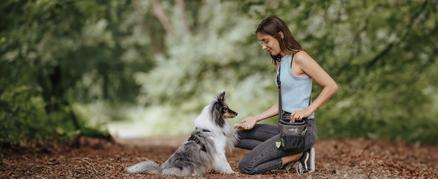 Сумка для ласощів для собак Rudelkönig - Практична сумка для прогулянок з собакою, для дресирування - Фурнітурний мішечок для собак з дозатором кульок для прибирання, на плече, Базовий сірий