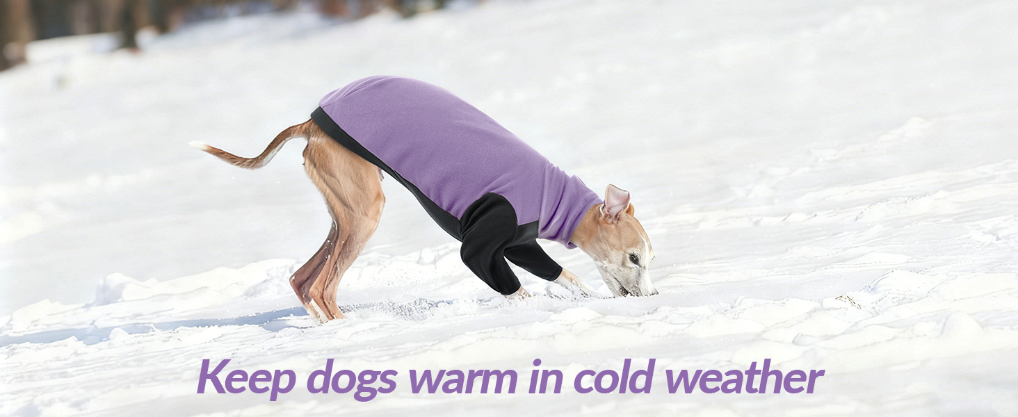 Тепла флісова роба для віндхундів (гріхунди), флісова куртка для віндхундів, одяг Gago для зими, зручний стиль для віндхундів, що мерзнуть (Армійний зелений, фіолетовий, S)