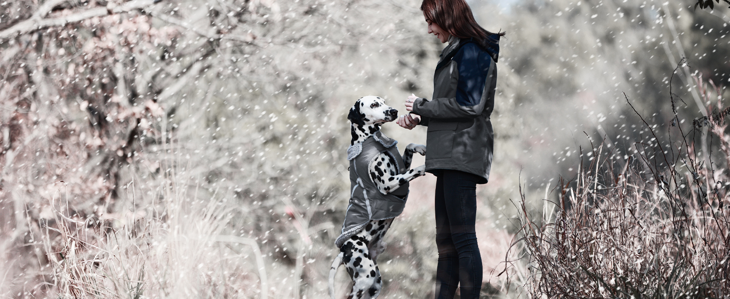 Теплий зимовий одяг для собак VIVAGLORY Frostfit: софтшелл з підкладкою з флісу, захист від снігу та холоду, світловідбиваючі елементи, сірий, XS (37-44см)