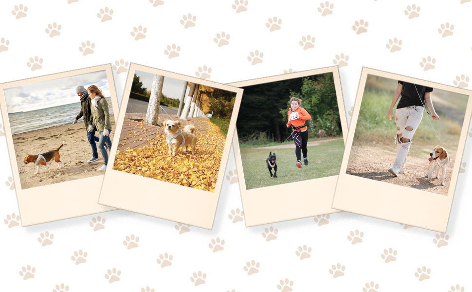 Нашийник для котів Qianruida з повідком, регульований, зручний, дихаючий, світловідбиваючий (Чорний XS)