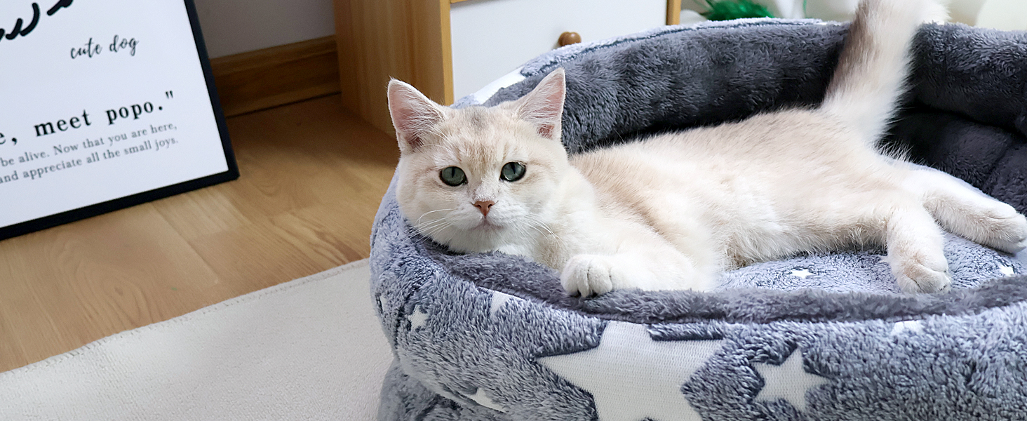 Кругле м'яке ліжко для котів та цуценят, 50 см. Зручне, миється, з штучного хутра. Підходить для квартирних котів та собак.