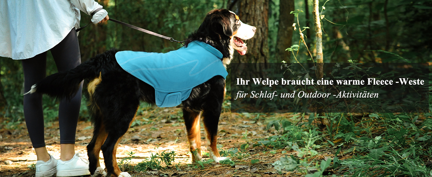 Тепла куртка VIVAGLORY для собак на зиму, флісова жилетка з застібкою-липучкою та отвором для повідка, світловідбиваюча, регульована, S, Бежевий