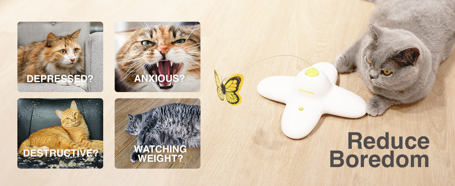 Інтерактивна іграшка для котів ALL FOR PAWS 3 в 1: метелик, м'ячики, випадкові пір'я. Автоматичний спінер для дому. Новинка