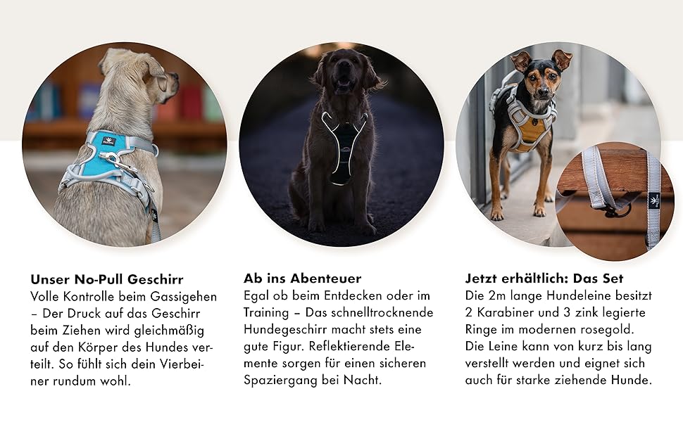 Набір повідка та шлейки для собак – дихаючий, регульований, з м'якою підкладкою та світловідбиваючими елементами – для великих та середніх собак (Синій, XL (76-101 см обхват грудей))