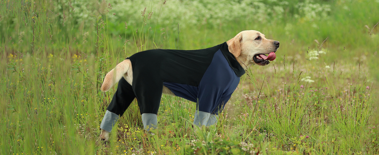 Піжама для собак Hjumarayan, еластичний комбінезон з блискавкою, повне покриття, довгі штанини, захист від бруду, прохолодний костюм-одяг для прогулянок та після операції, бежевий XL XL Beige