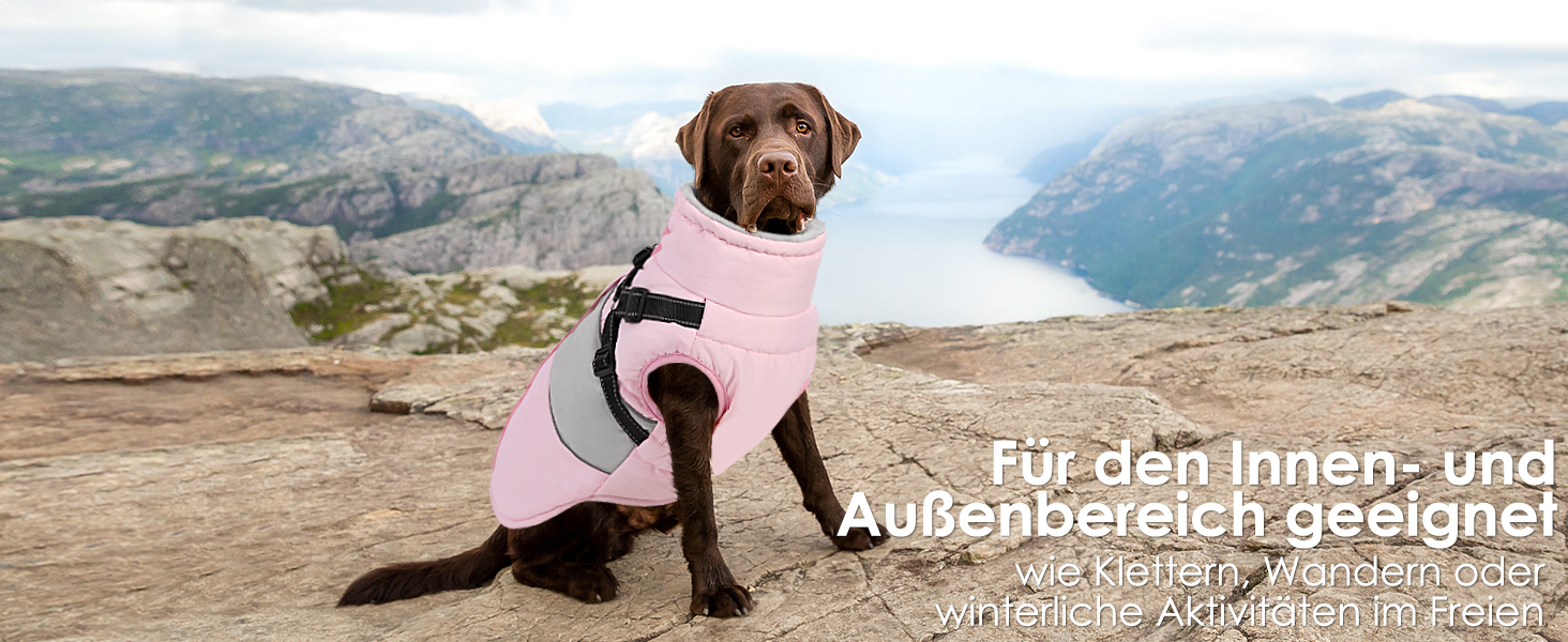 Теплий зимовий одяг для собак AOFITEE: куртка, жилет, водонепроникний, для великих порід (лабрадор, віндгорн, голден ретрівер), 2XL, бордовий