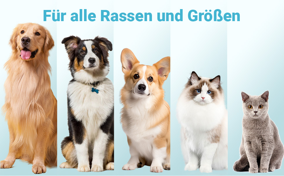 Поїлка для собак Zivacate 600 мл з контейнером для корму та пакетиками для відходів - блакитна