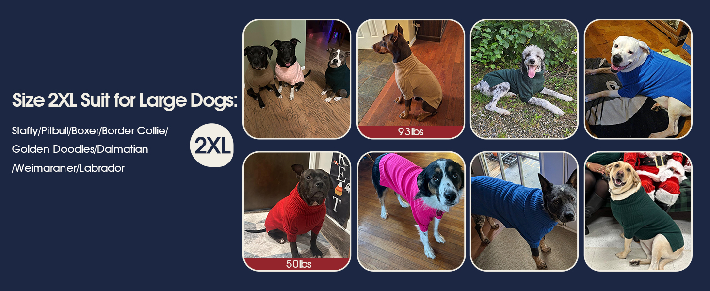 Зелений теплий зимовий пуловер для собак IECOii, великий розмір (XX-Large), для чихуахуа, бульдога, лабрадора