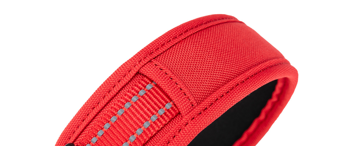 Нашийник для собак EXCELLENT ELITE SPANKER з PU матеріалу, з пряжкою, регульований, для малих, середніх та великих собак, чорний, червоний, синій (RED-L)