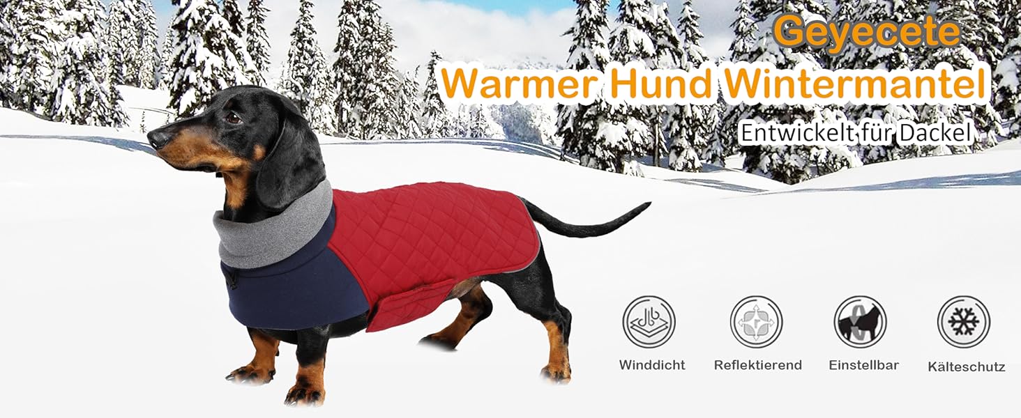 Теплий зимовий пуховик для такси для маленьких собак, зелений, S (довжина спини: 31-34 см)