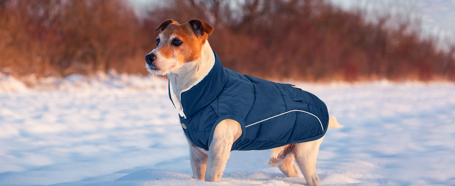 Зимовий теплий одяг для собак - водонепроникний теплий куртка з флісовою підкладкою, світловідбиваючий, чорний, L