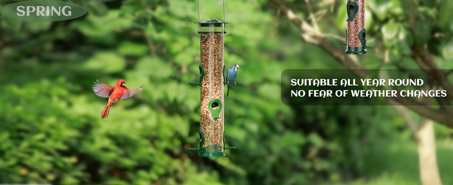 Годівниця для птахів Mixxidea з металевої труби для вулиці, 6 портів, підвісна годівниця для диких птахів