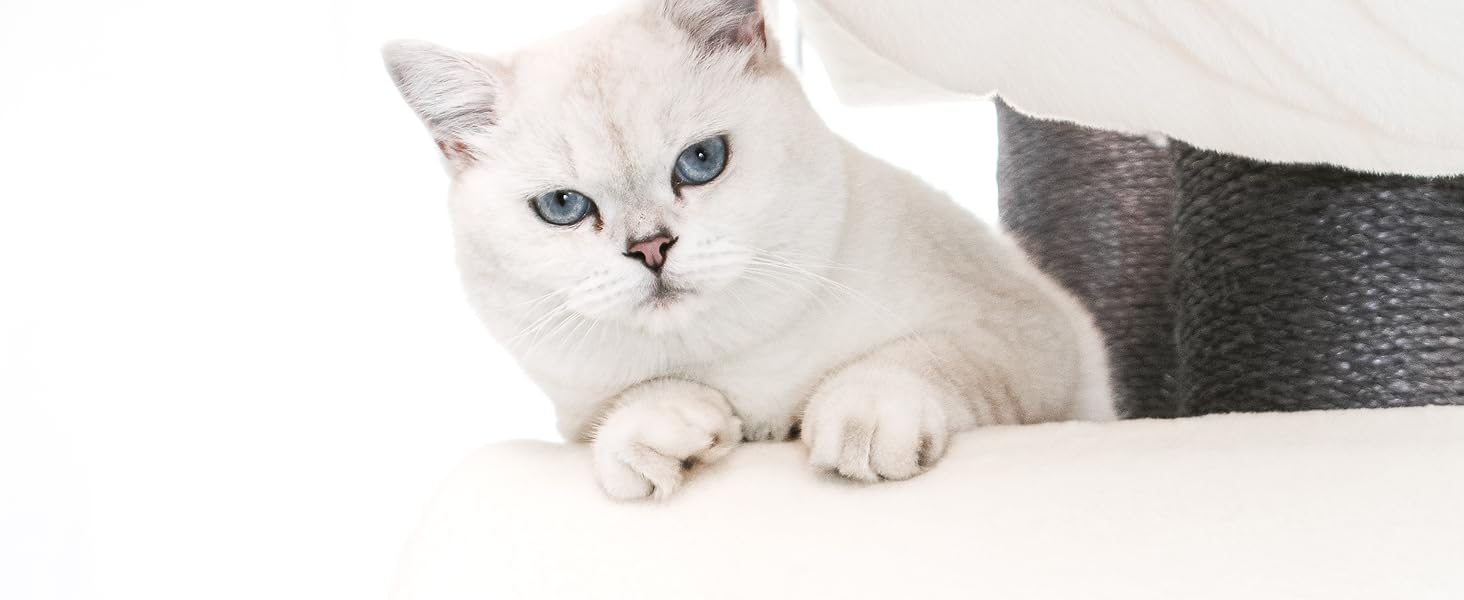 Драбина для котів Petrebels Maine Coon XXL, 210 см, з сизалю, бежева