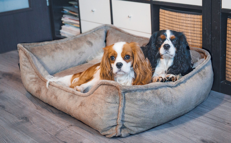 Ортопедичне ліжко для собак 4L Textil IRIS Premium-LINE, рожеве (80x60 см)