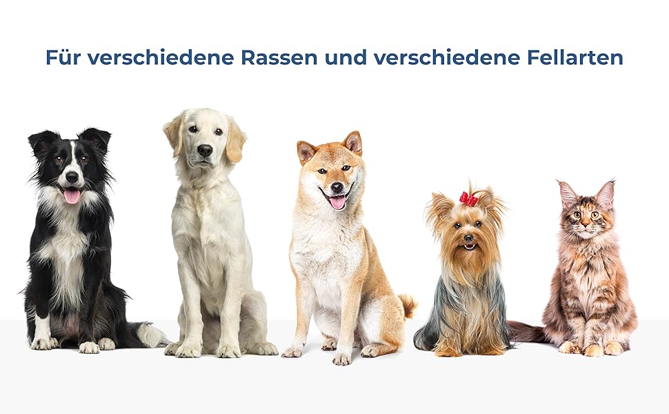 Фен для собак та котів 2-в-1 з щіткою | 300W, регулювання температури, нержавіюча сталь