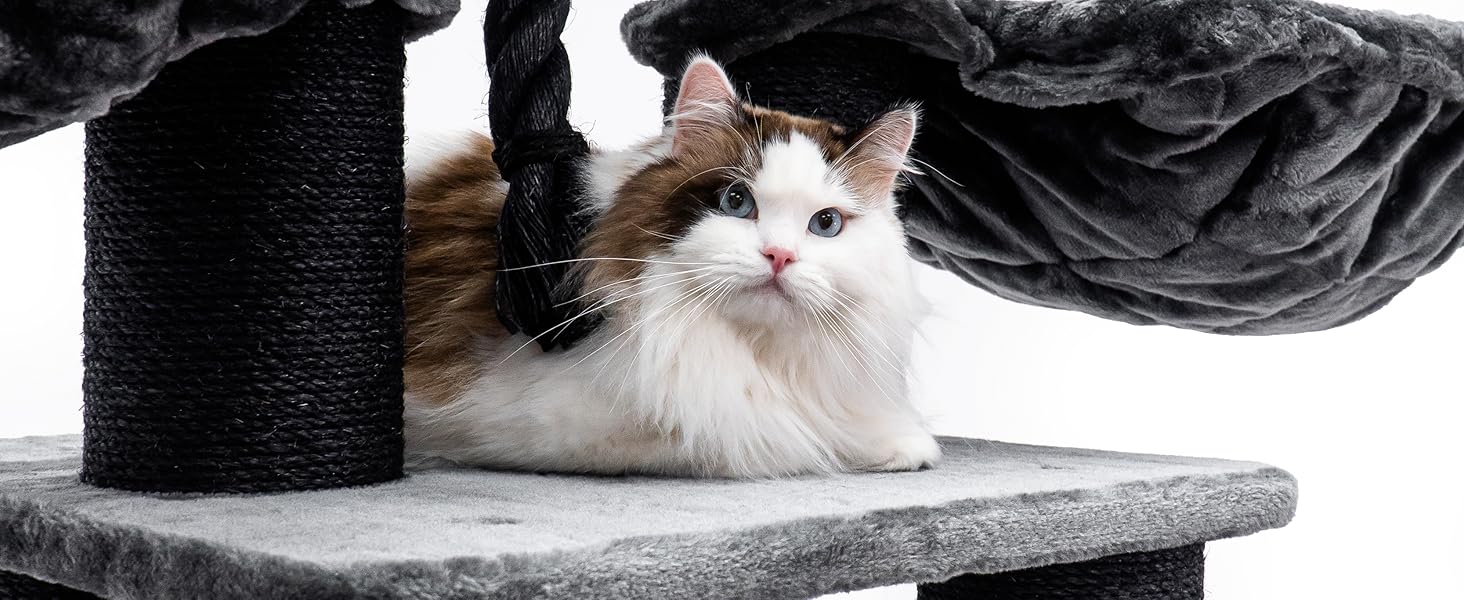 Драбина для котів Petrebels Skyline XXL, 186 см, чорна. Підходить для великих котів, таких як Мейн-кун