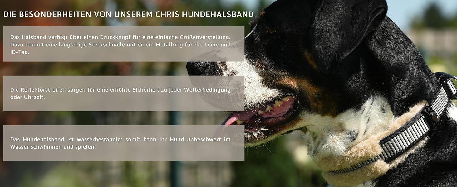 Інноваційний нашийник для собак CHRIS з ланолінової вовни, зменшує випадіння шерсті, з підкладкою, світловідбиваючий, регульований, для собак малих, середніх та великих порід, розміри M (35-45см), L (45-55см), XL (55-65см), колір антрацит