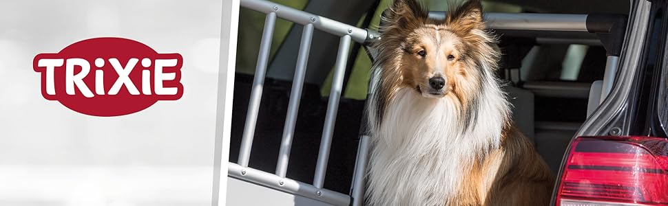 Тріксі велосипедний собачий перетягувач, 54 x 60 x 85 см, до 30 кг, світловідбиваючий, з функцією швидкого складання, з інтегрованим подушкою та повідком, з кріпленням, 12798