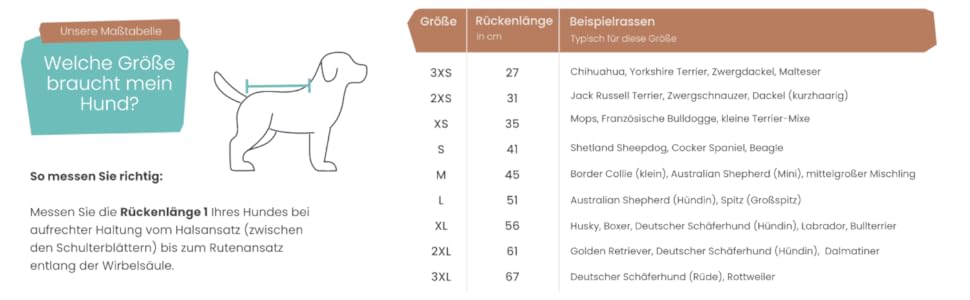 Водонепроможний та вітрозахисний софтшел-дощовик для собак, світло-блакитний, розмір M