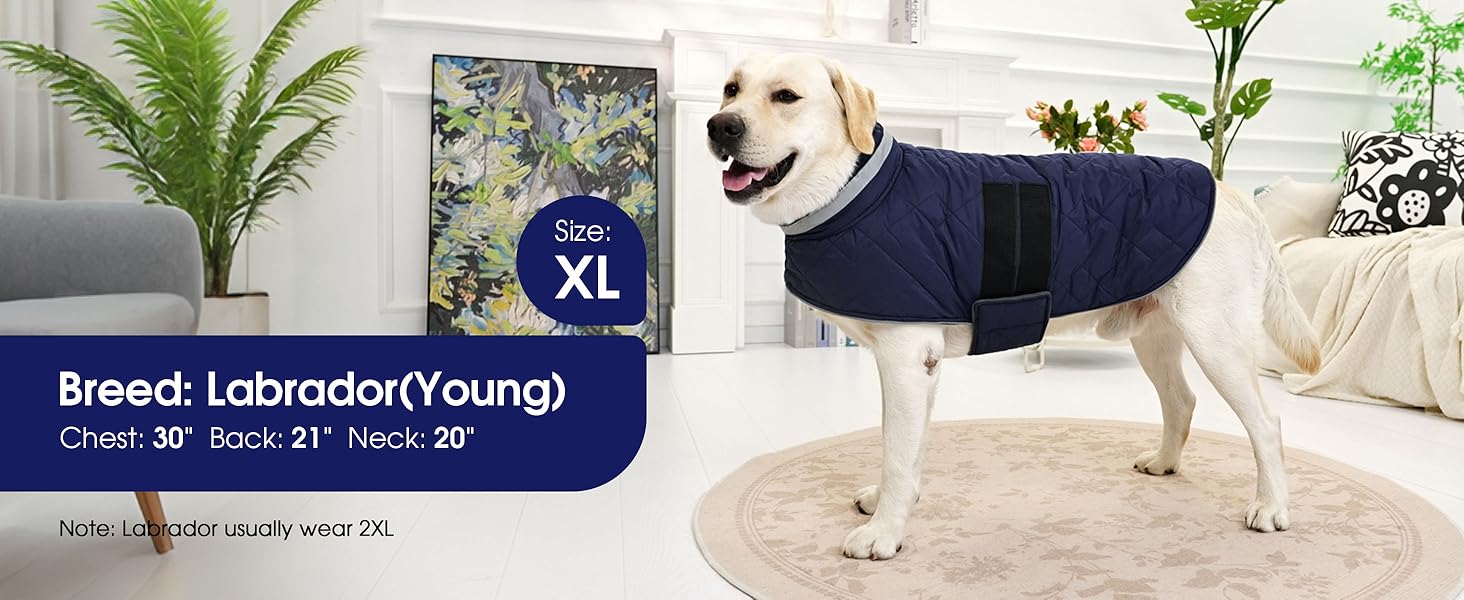 Зимовий теплий одяг для собак середнього розміру, водонепроникний флісовий одяг, куртка для собак з отвором для шлейки, відбиваючий зимовий одяг, в клітинку, зелений, розмір M