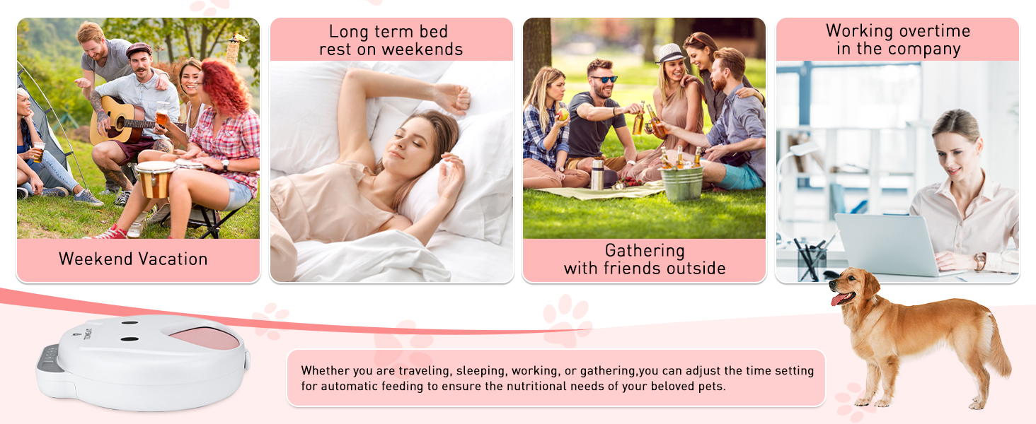 Автоматичний годівник для котів та собак з цифровим дисплеєм, 4 відсіки по 240 мл, таймер