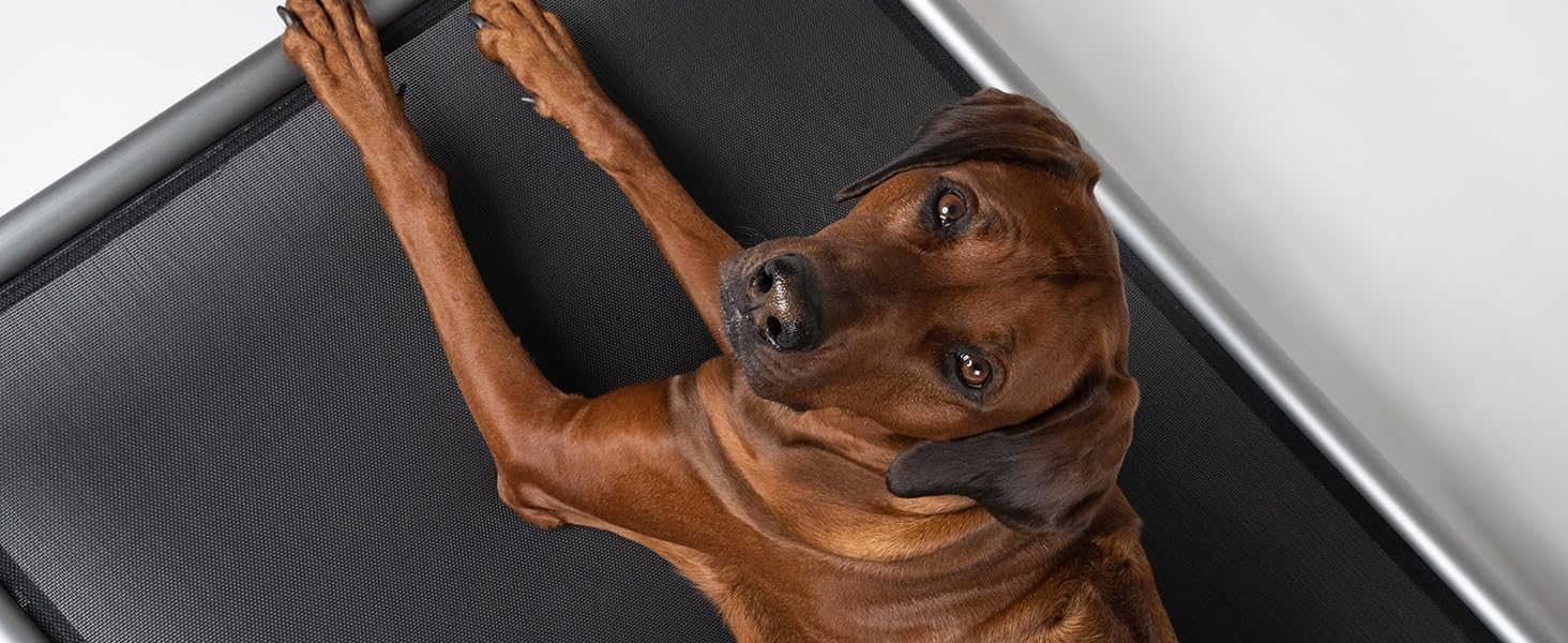 TrendPet HighBed: підняне ліжко для собак з алюмінію (105x80 см), преміум-якість