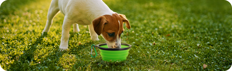 Сумка-переноска для собак та котів YOOFAN, сіра. Знімна підстилка, миска для корму, підходить для перевезень літаком