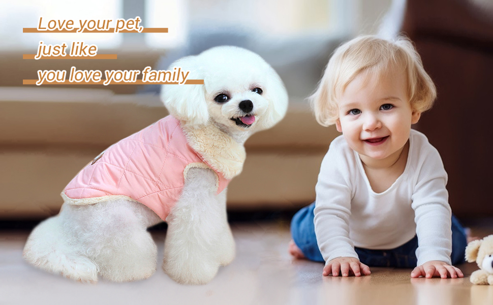 Зимовий одяг для собак: теплий водонепроникний зимовий одяг для собак з флісу, жилет для собак та котів (XXL, бежевий)