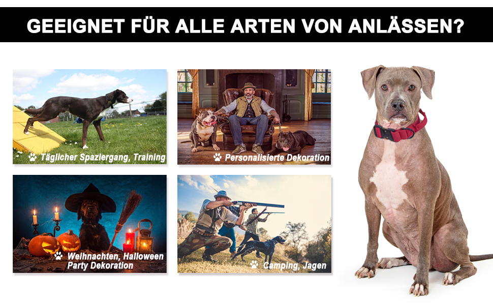 Нашийник для собак Vivi Bear тактичний, регульований, з контролем, нейлон, неопрен, для великих собак, червоний, розмір L