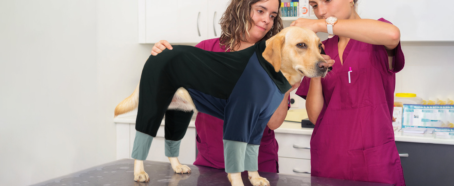 Піжама для собак Hjumarayan, еластичний комбінезон з блискавкою, повне покриття, довгі штанини, захист від бруду, прохолодний костюм-одяг для прогулянок та після операції, бежевий XL XL Beige