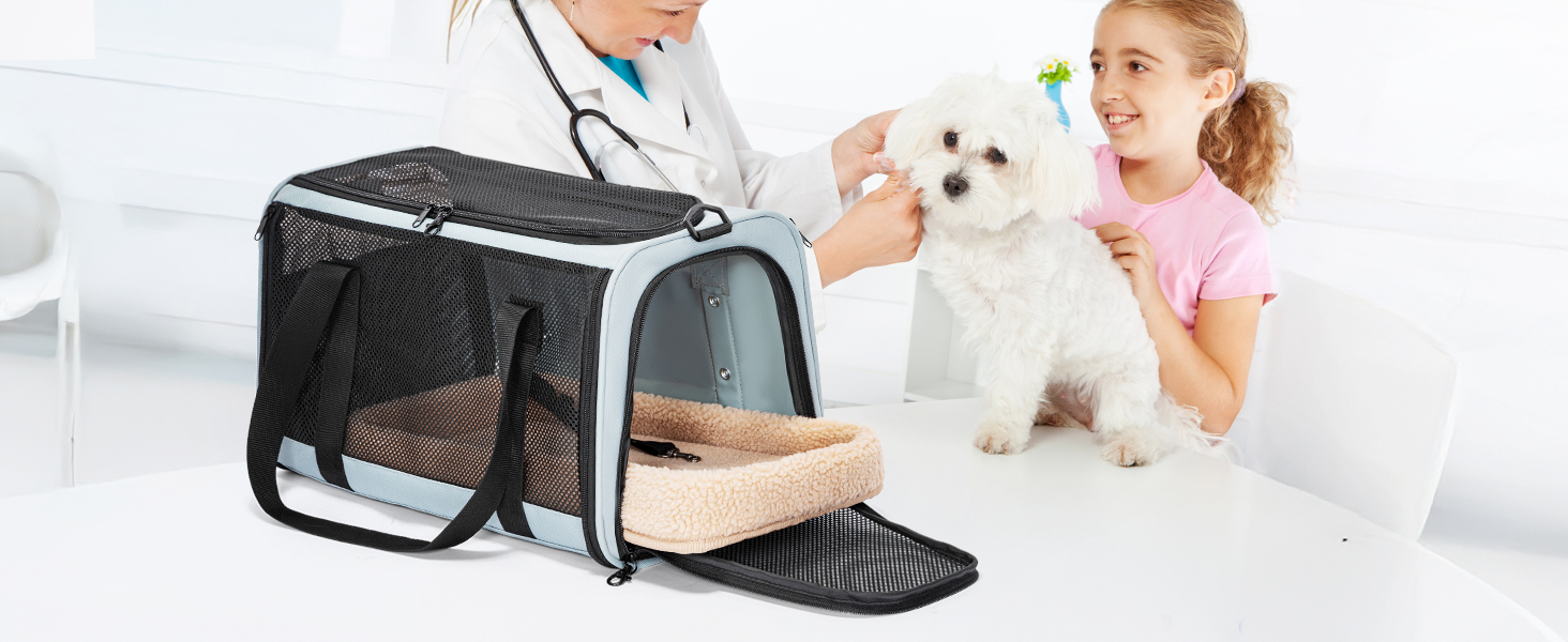 Переносна переноска для котів та маленьких собак Petsfit, блакитна, 48 x 30.5 x 30.5 см