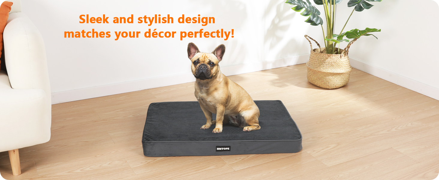 Ортопедичне ліжко для собак, 8 см товщина, подушка для маленьких собак, знімний та пральний килимок, неслизьке дно, водонепроникна підкладка, 76 см, темно-сірий L 76 x 51 x 8 см, темно-сірий