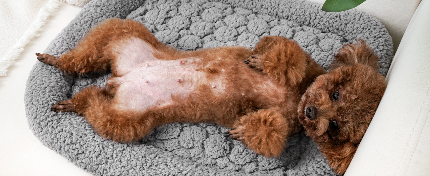 Самогріюча котяча лежанка Mora Pets: тепла, м'яка, 52x58 см, сіра