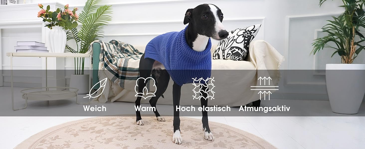 Теплий та м'який пуловер для собак Queenmore | Turtleneck для Corgi, Beagle, Французького бульдога, Шнауцера, Такси | Розмір L, Колір блакитний