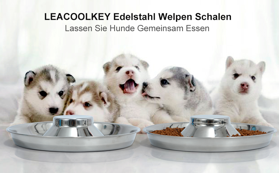 Набір з 2 мисок для собак з нержавіючої сталі LEACOOLKEY - миски для корму та води, для повільного годування, для маленьких собак, котів, тварин, сріблясті