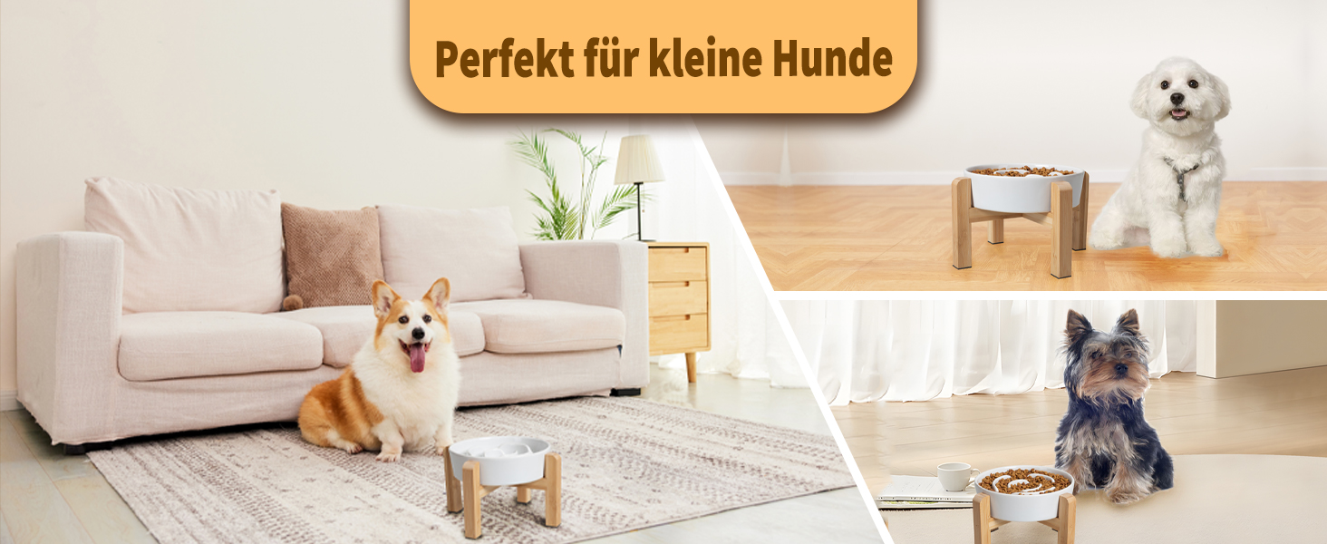 Миска для собак антиблік з кераміки, піднята - миска для собак на бамбуковому антиковзному підставці, миска для повільного годування, для собак маленьких та середніх порід, біла, діаметр 17 см, 1.25 CUP