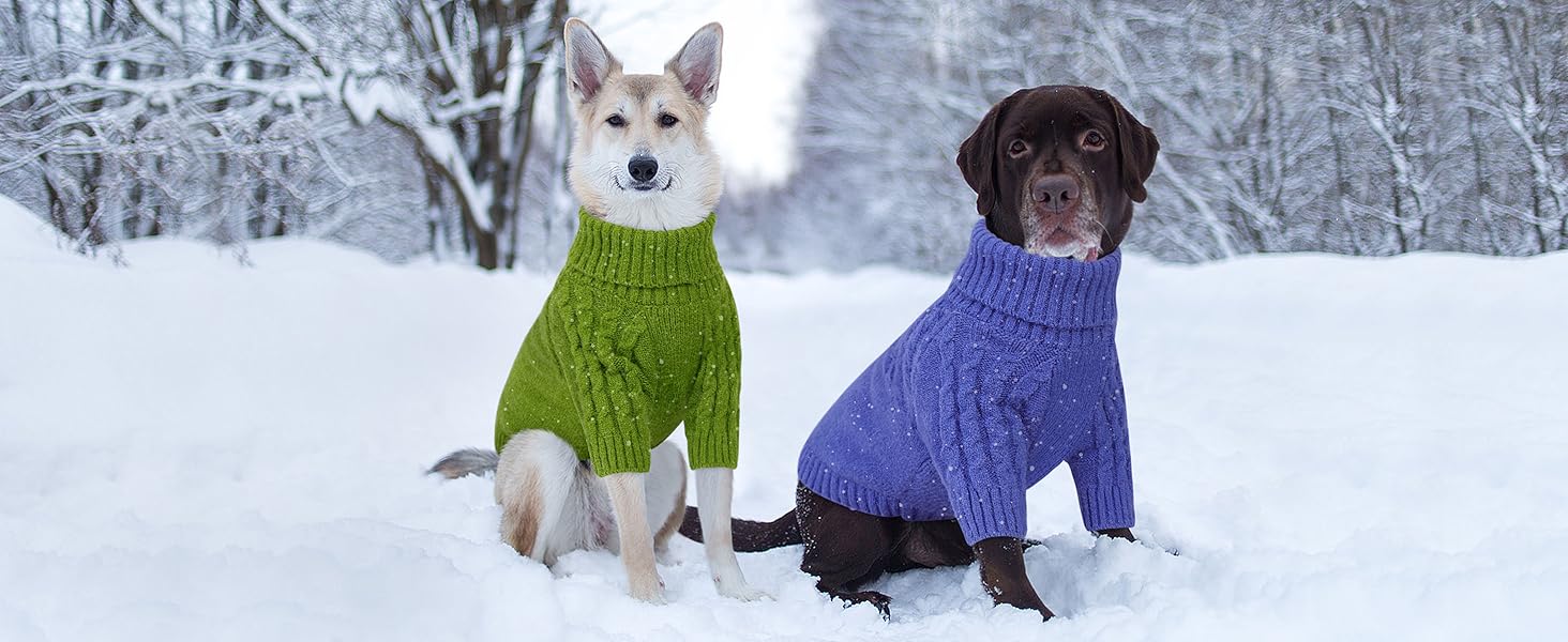 Теплий пуловер для собак Queenmore: Дакель, Французький бульдог, Бігль, Шнауцер (зелений, M)