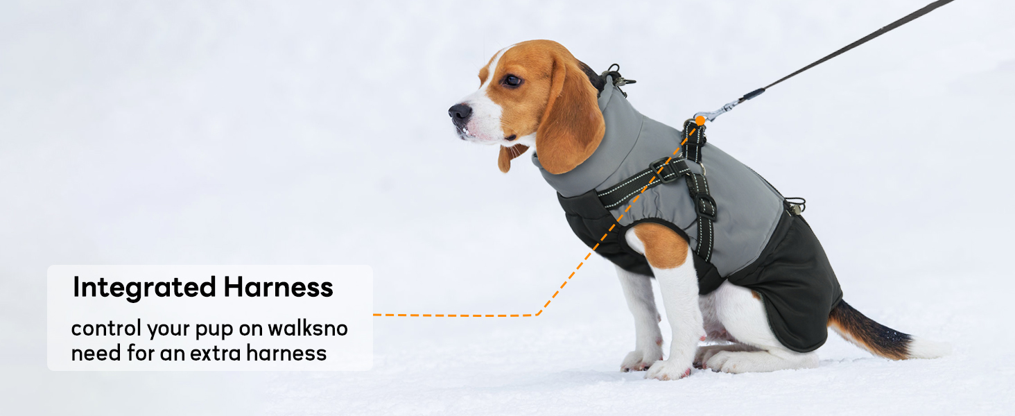 Водонепроникний зимовий теплий одяг для собак маленьких порід, чорний, розмір M