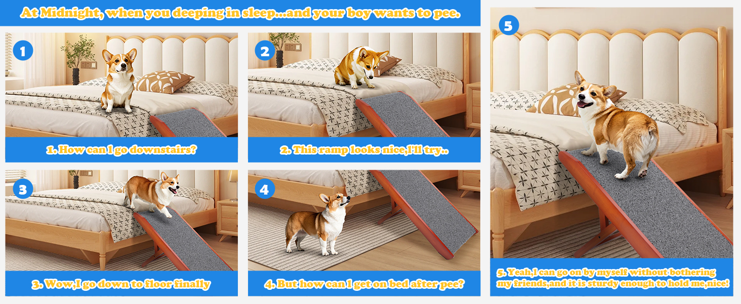 Рампа для собак Hunderampe - регульована, 34-61,5 см, з покриттям, що миється, з берези. Складана, антиковзка, для маленьких та великих собак (XL)